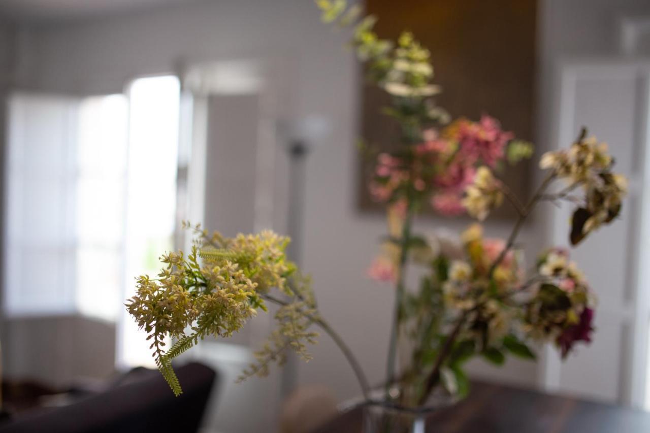 Apartment Seville Mirador Puerta Carmona מראה חיצוני תמונה